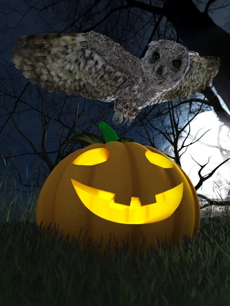 Halloween pumpa och Uggla i natt skog semester bakgrund — Stockfoto