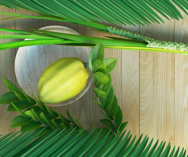 Symbole des jüdischen Feiertags Sukkot mit Palmblättern — Stockfoto