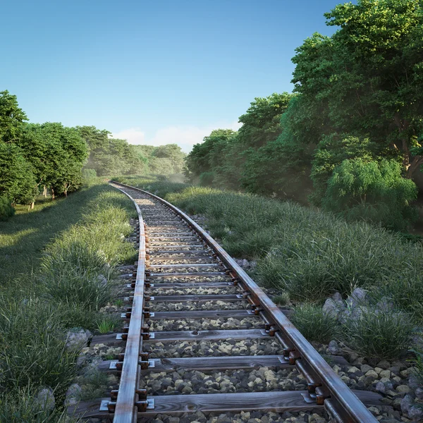 Eisenbahngleise durch ländliche Landschaft. Reisekonzept — Stockfoto