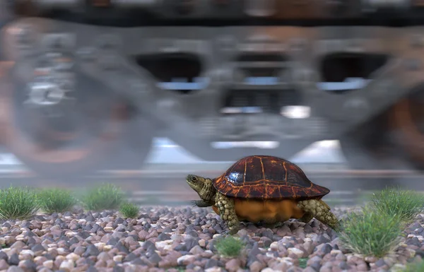 Kto jest szybszy. Torów kolejowych i pociąg z systemem żółwia. Koncepcja technologii podróży — Zdjęcie stockowe