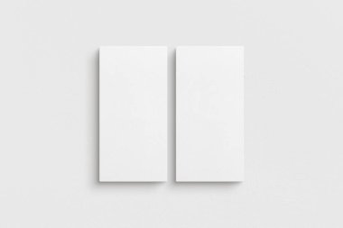 Tuvalin 1: 2 modeli. İki tuval seti. Galeri duvarı maketi, iki tuval seti. Temiz, modern, minimalist, parlak. Portre. Dikey.