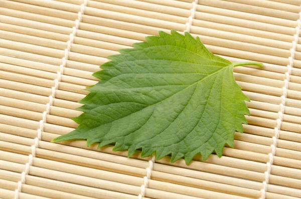 Frischer Grüner Shiso Perilla Frutescens Oder Oba Blatt Auf Bambusrollmatte — Stockfoto