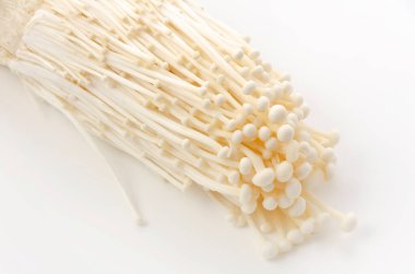 Beyaz arkaplanda Enoki mantarı