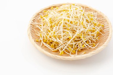 Beyaz zemin üzerinde bambu elek taze soya filizleri