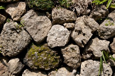 Ryukyu kireç taşından yapılmış taş duvar.