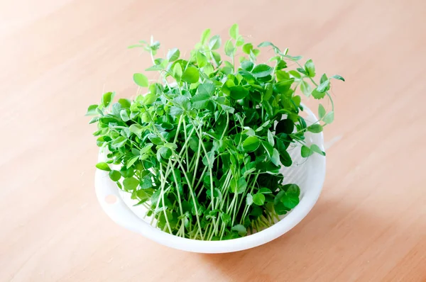 Harvested Pea Sprouts White Plastic Colander — Foto Stock