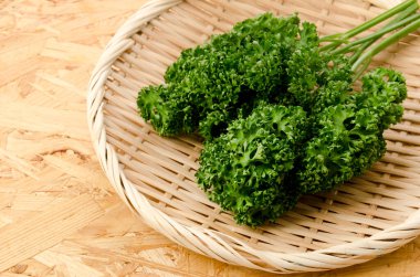 Tahta arka planda bambu elek üzerinde taze kıvırcık maydanoz.