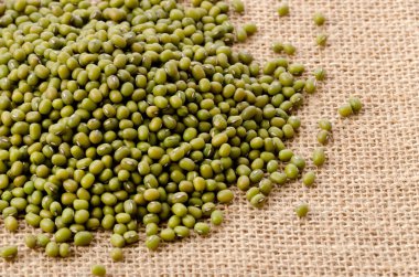 Çuval bezeli fasulye