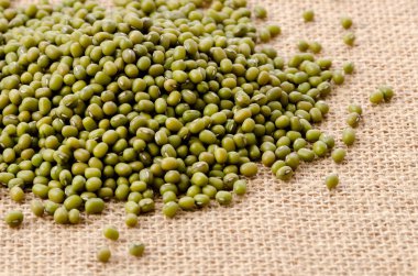 Çuval bezeli fasulye