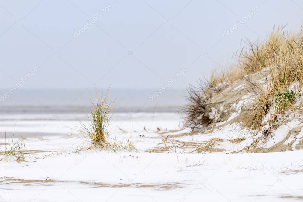 The beach at Goeree-Overflakkee in the Netherlands during winter. The beach is covered with snow. Dunes and marram grass are visible.