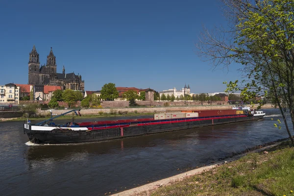 Widok na miasto Magdeburga i Łaby w Spring, Magdeburg, Niemcy — Zdjęcie stockowe