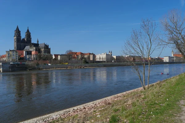 Vista sulla città di Magdeburgo e sull'Elba in primavera, Magdeburgo, Germania — Foto Stock