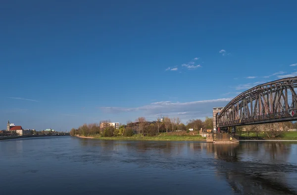 Widok na miasto Magdeburga i Łaby w Spring, Magdeburg, Niemcy — Zdjęcie stockowe