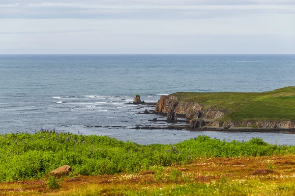 Islandský malebnou krajinou na Islandu, letní čas — Stock fotografie