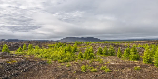 Isländische bunte Landschaft auf Island, Sommerzeit — Stockfoto