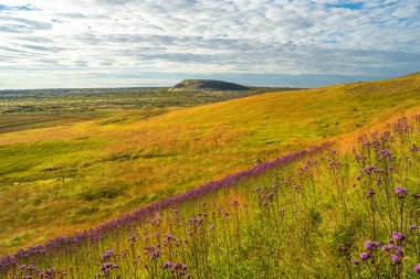 İzlanda, yaz saati İzlanda renkli peyzaj