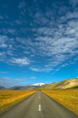 İzole yol ve İzlanda, summe İzlanda renkli manzaraya