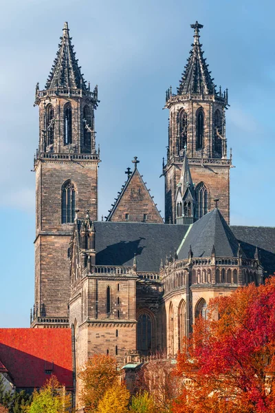 Magnifica Cattedrale Nel Centro Storico Commerciale Magdeburgo Città Vecchia Fiume — Foto Stock