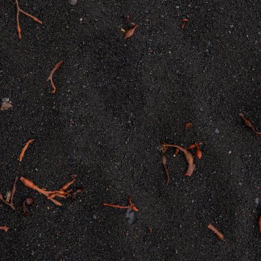 Volkanik siyah kumsal. Arka plan ve doku olarak bazı tropikal kırmızı deniz yosunları var. Yakın plan, detaylar.