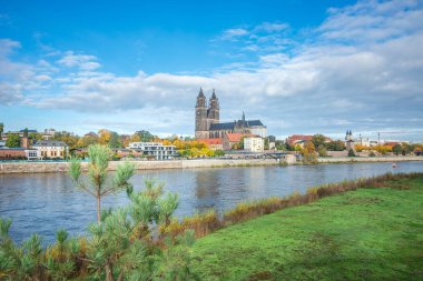Magdeburg şehir merkezinde panoramik manzara, eski şehir, Elbe nehri ve Golden Autumn 'daki Muhteşem Katedral, güneşli bir günde ve mavi gökyüzünde vahşi büyüyen ladin, Almanya