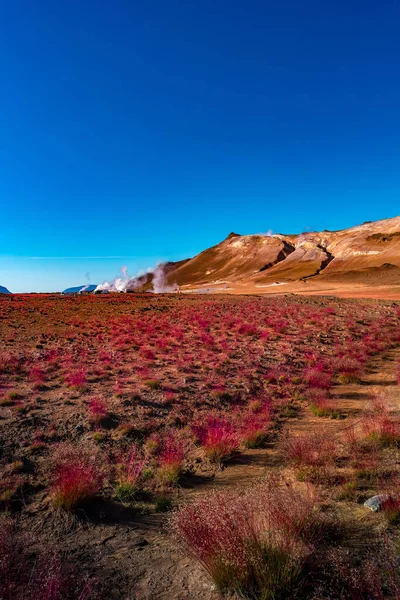 アイスランドのミヴァトン湖の近くの地熱活動帯Hverrは 火星の赤い惑星の風景に似ており 夏と青空にあります — ストック写真