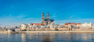Magdeburg 'un tarihi kışın ortasında güneşli bir günde buzlu ağaçlar ve mavi gökyüzü ile panoramik manzara