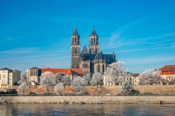 Magdeburg Historical Downtown Winter Icy Trees Blue Sky Sunny Day — Stock Photo, Image