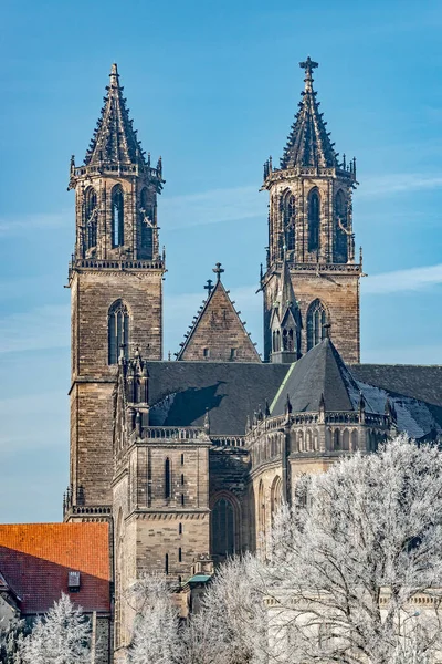 Magdeburg Historyczne Centrum Zimą Lodowatymi Drzewami Błękitnym Niebem Słoneczny Dzień — Zdjęcie stockowe