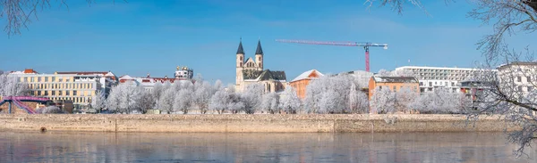 Panoramatický Výhled Historické Centrum Magdeburgu Zimě Ledovými Stromy Sněhem Během — Stock fotografie