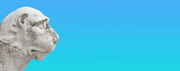 Знамя Львиной Головой Древнего Венецианского Пирея Возле Арсенала Венеции Копировальным — стоковое фото