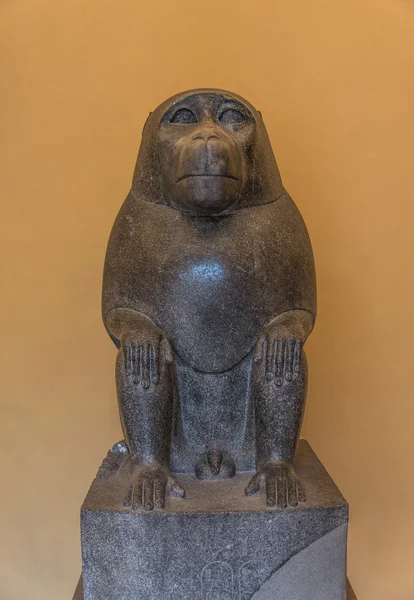 Statue of sitting monkey at Egyptien sarcophagus tomb — Stock Photo, Image