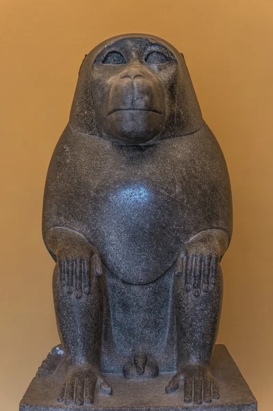 Statue of sitting monkey at Egyptien sarcophagus tomb — Stock Photo, Image