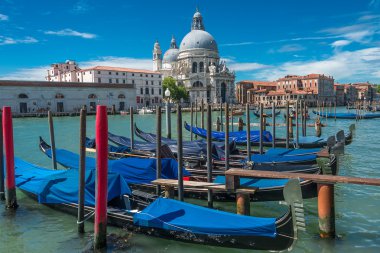 Veiw Basilica di Santa Maria della Salute, Venedik, İtalya