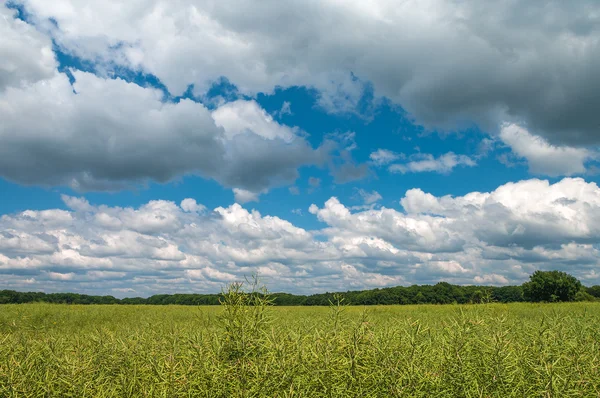 Summer krajobraz pola farmy w chmurach, wspaniały charakter, Ger — Zdjęcie stockowe
