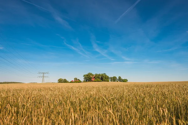 Atardecer dorado de verano en campo de granja y molino de viento, hermosa naturaleza — Foto de Stock
