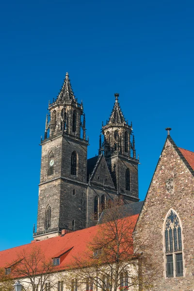 Kathedraal van Magdeburg op herfst, Duitsland — Stockfoto