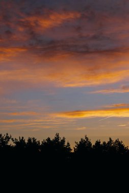 Turuncu, altın rengi ve pembe bulutlarla ormanın üzerinde nefes kesici erken gün doğumu.