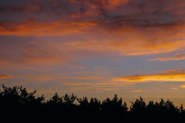 Turuncu, altın rengi ve pembe bulutlarla ormanın üzerinde nefes kesici erken gün doğumu.