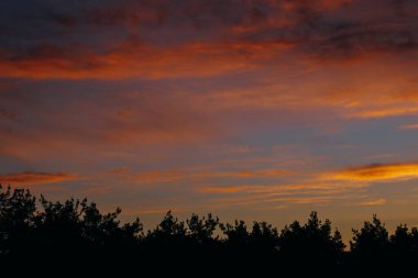 Turuncu, altın rengi ve pembe bulutlarla ormanın üzerinde nefes kesici erken gün doğumu.
