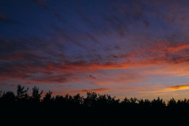 Turuncu, altın rengi ve pembe bulutlarla ormanın üzerinde nefes kesici erken gün doğumu.