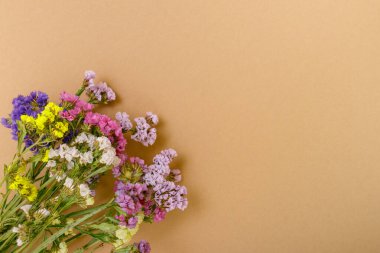 Bej arka planda renkli istatikler. Limonyum sinuatum çiçekleri. Rengarenk, taze çiçek buketi. Uzayı kopyala Üst görünüm.