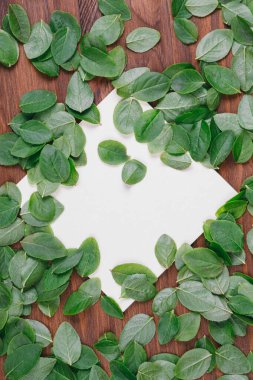 Ahşap bir arka planda kağıt kart notuyla yapraklardan yapılmış yaratıcı bir düzen. Düz yatıyordu. Doğa konsepti. Üst Manzara. Reklam kartı ya da davetiye için boşluk. 