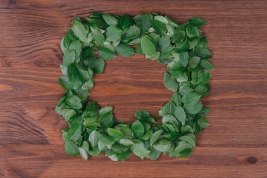 Koyu ahşap arka planda yeşil taze yapraklardan yapılmış kare çerçeve. Düz yatıyordu. Doğa konsepti. Üst görünüm.