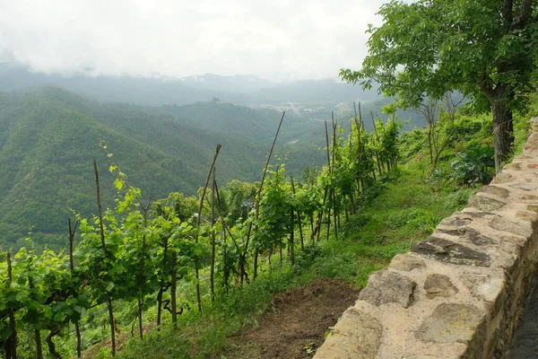 Sesta Godano Spezia Liguria Italy Червня 2020 Landscape Vara Valley — стокове фото