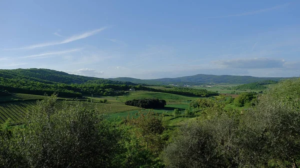 Talya Nın Rapolano Terim Siena Tuscany Kentindeki Girit Senesi Bölgesinin — Stok fotoğraf