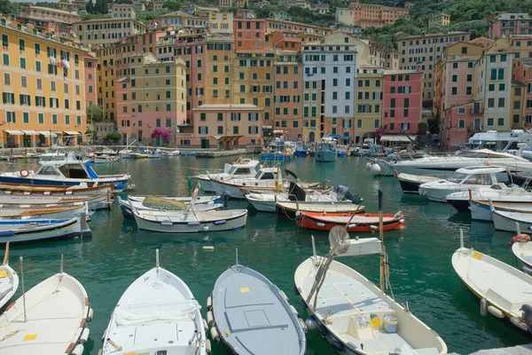 Port Camogli Dans Province Gênes Ligurie Italie — Photo