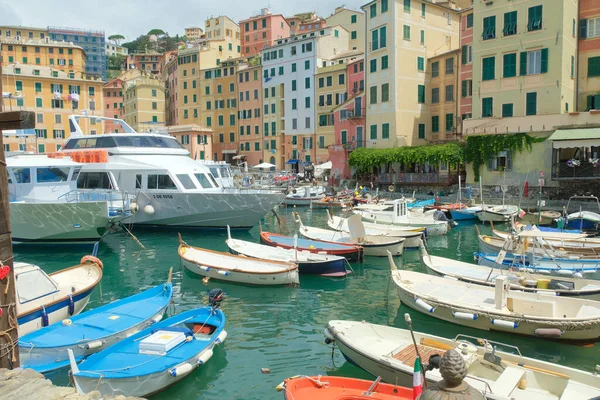 Haven Van Camogli Provincie Genua Ligurië Italië — Stockfoto