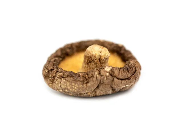 Dry Whole Shiitake Mushroom Lentinula Edodes — Stock Photo, Image