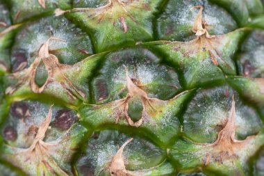 Taze tek ananas (Ananas comosus))