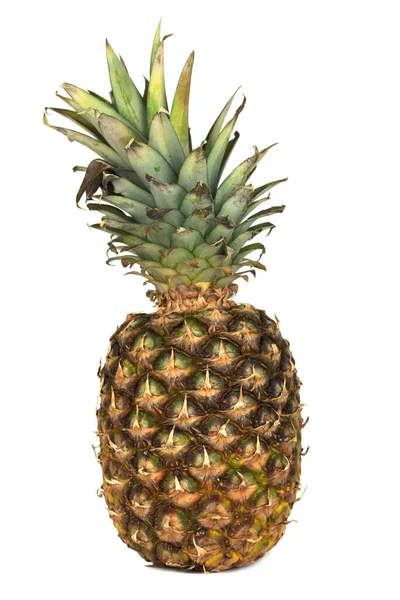 Fresh Single Pineapple Ananas Comosus — Stock Photo, Image